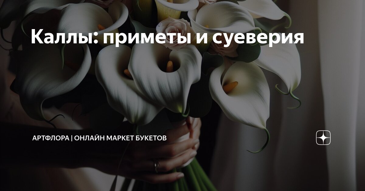 Как правильно дарить каллы: этикет и советы