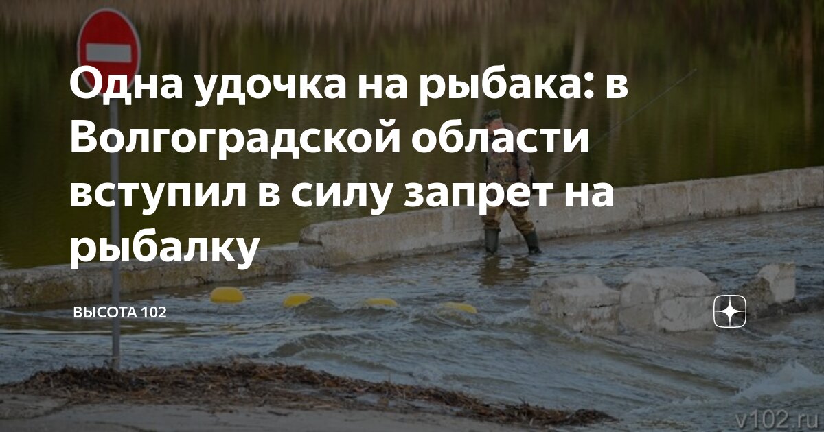 Одна удочка на рыбака: в Волгоградской области вступил в силу запрет на ...