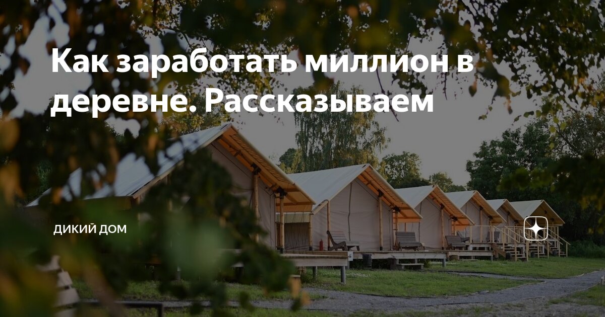 Как заработать миллион в деревне. Рассказываем | Дикий Дом | Дзен