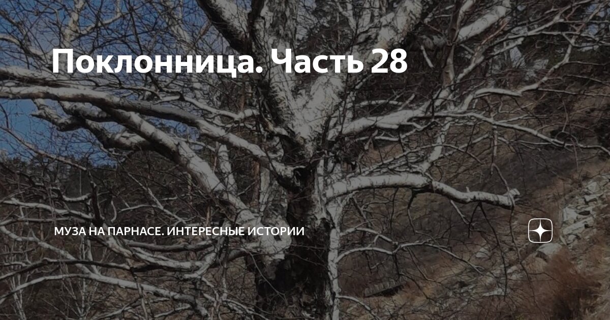 Поклонница. Часть 28 | Муза на Парнасе. Интересные истории | Дзен