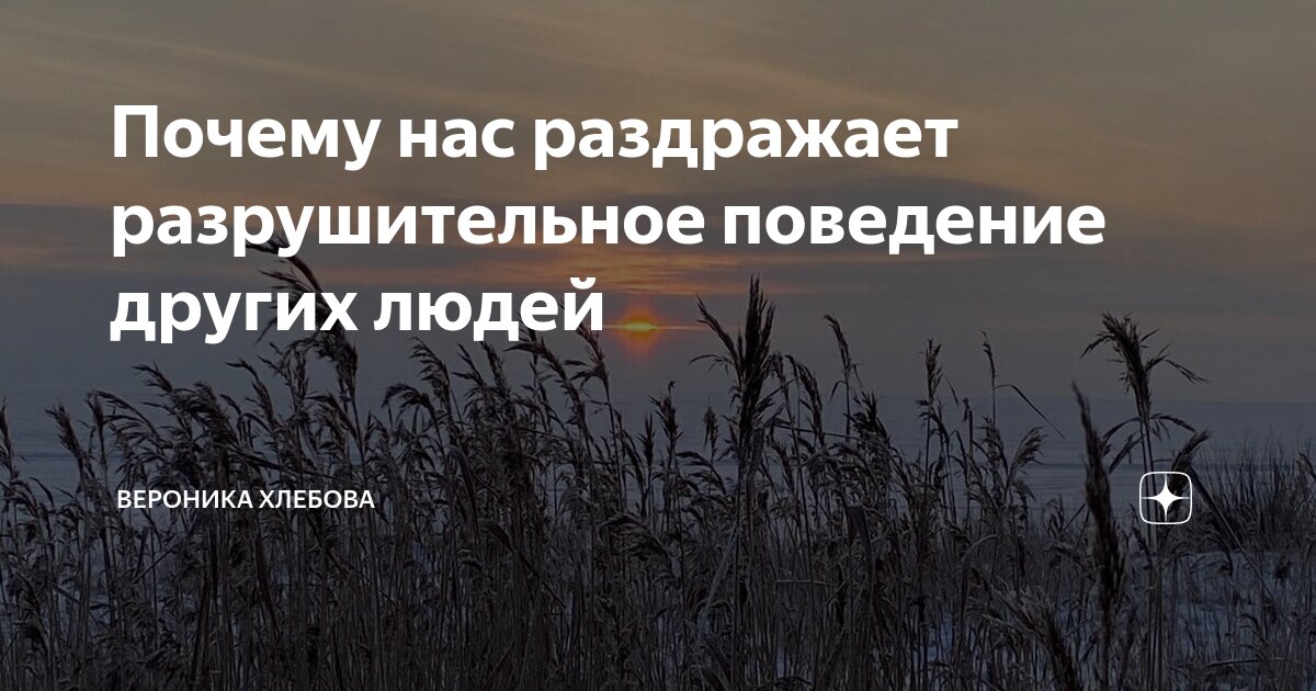 Почему нас раздражает разрушительное поведение других людей | Вероника ...