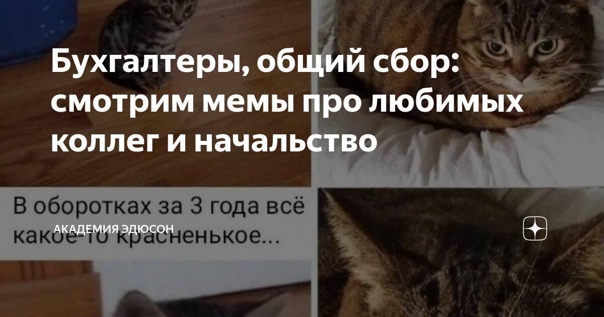 Бухгалтеры, общий сбор: смотрим мемы про любимых коллег и начальство ...