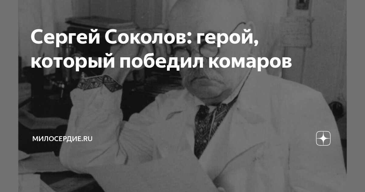 Сергей Соколов: герой, который победил комаров | Милосердие.ru | Дзен