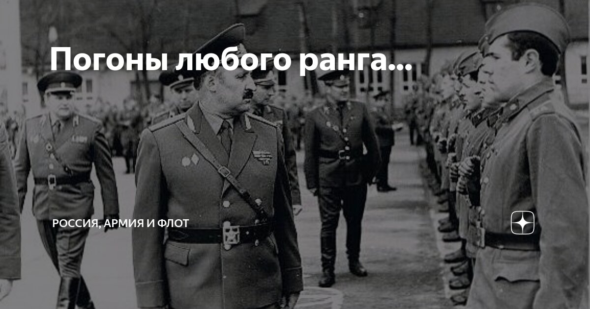 Погоны любого ранга... | Армия и Флот | Дзен