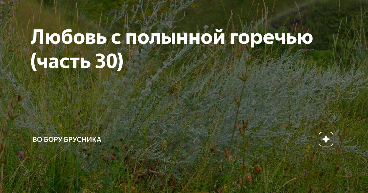 Любовь полынью горечью 52