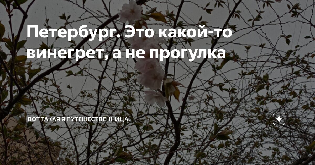 Петербург. Это какой-то винегрет, а не прогулка | Вот такая я ...