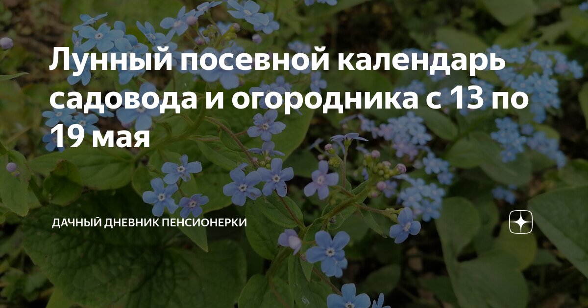 Лунный посевной календарь садовода и огородника с 13 по 19 мая | Дачный ...