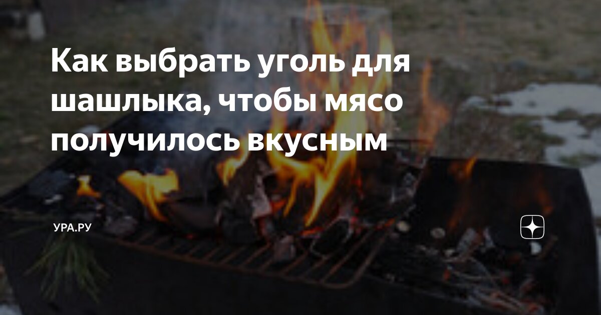 Как выбрать уголь для шашлыка, чтобы мясо получилось вкусным | УРА.РУ ...