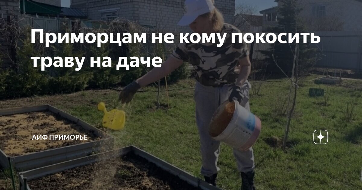 Приморцам не кому покосить траву на даче | АиФ Приморье | Дзен