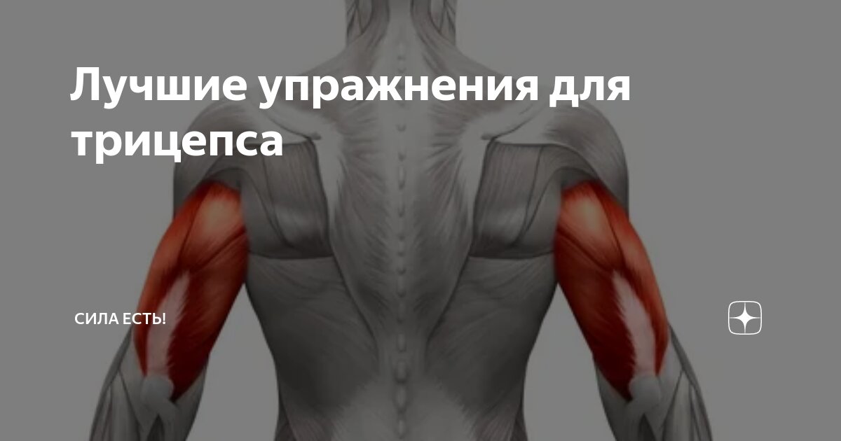 Лучшие упражнения для трицепса | Сила есть! | Дзен