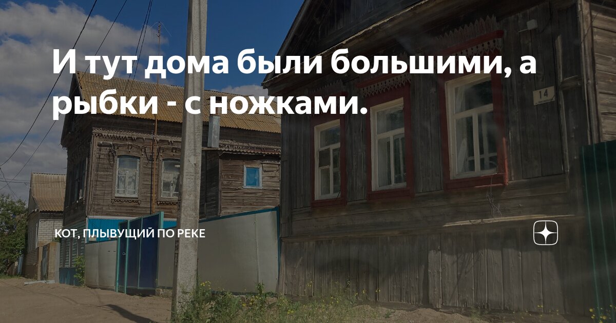 И тут дома были большими, а рыбки - с ножками. | Кот, плывущий по реке ...