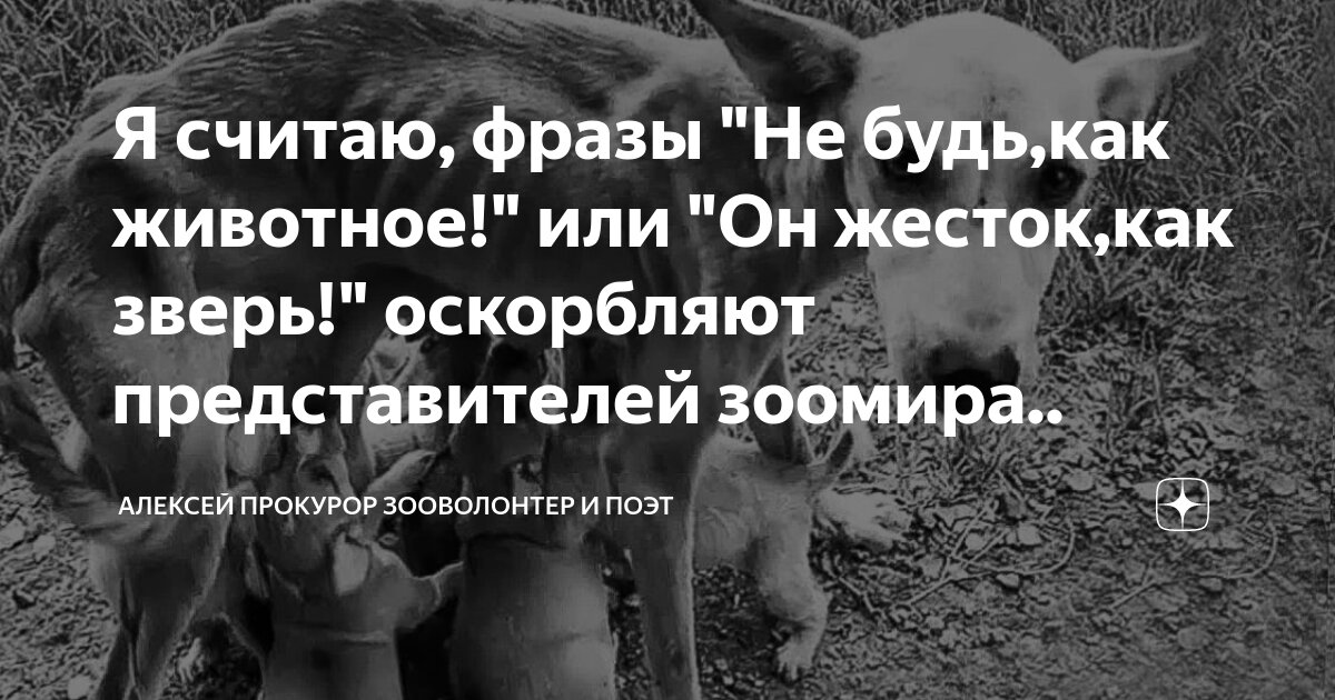 Экс-прокурор Шуйской межрайонной прокуратуры Алексей Царевский пытался взыскать 