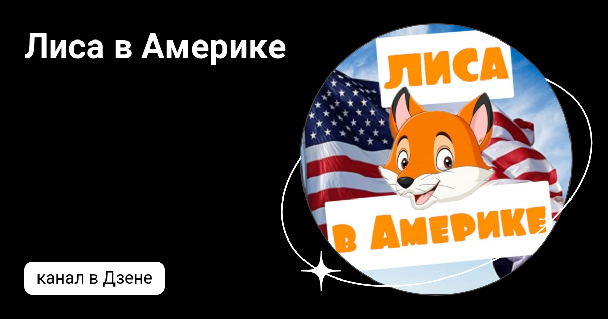 Лиса в америке дзен последнее