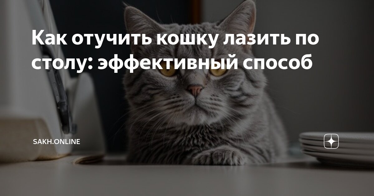 Как отучить котенка залазить на кровать ночью