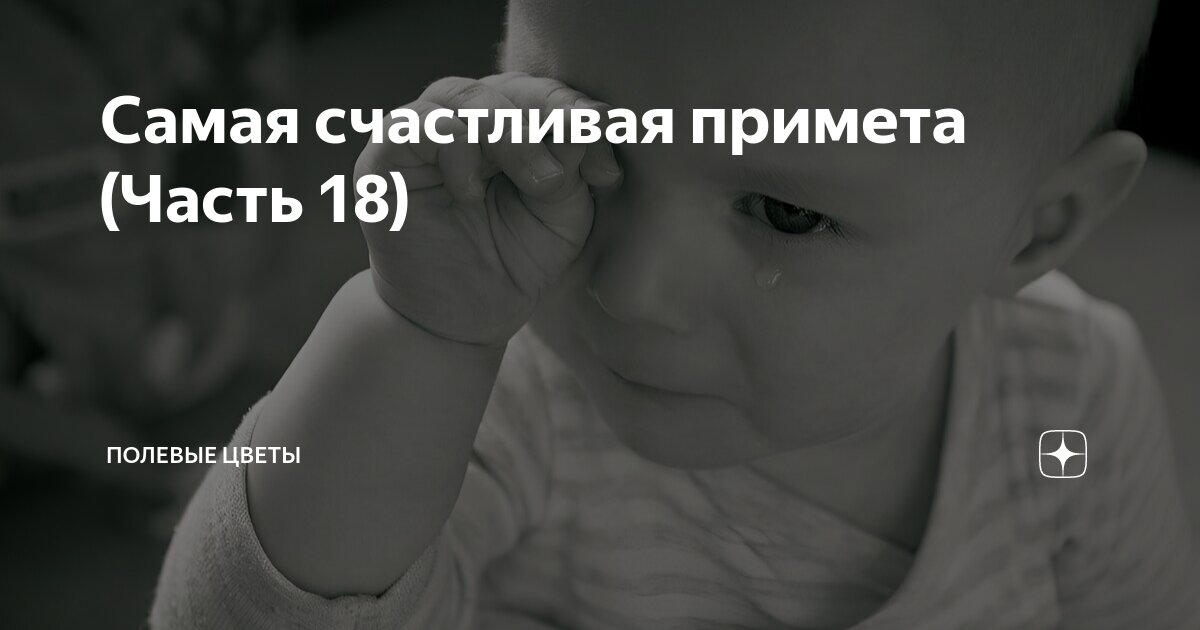 Самая счастливая примета (Часть 18) | Полевые цветы | Дзен