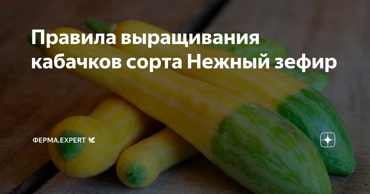 Правила ухода