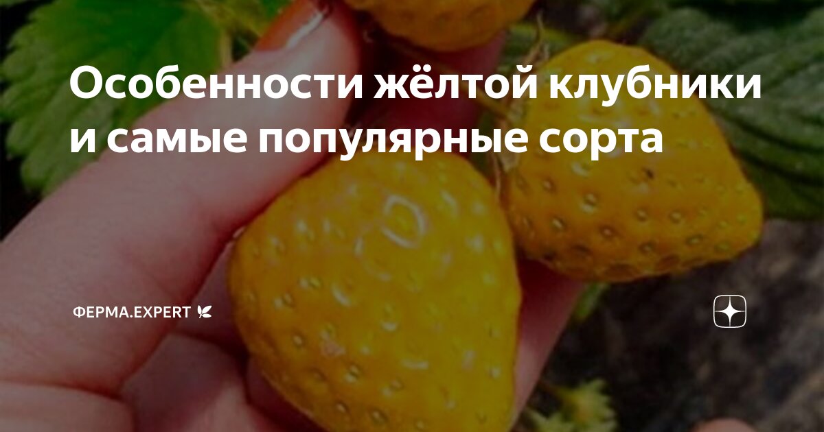 Подходящие условия для культивации
