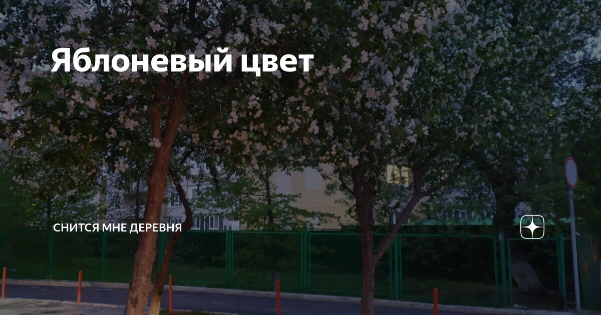 Яблоневый цвет | Снится мне деревня | Дзен