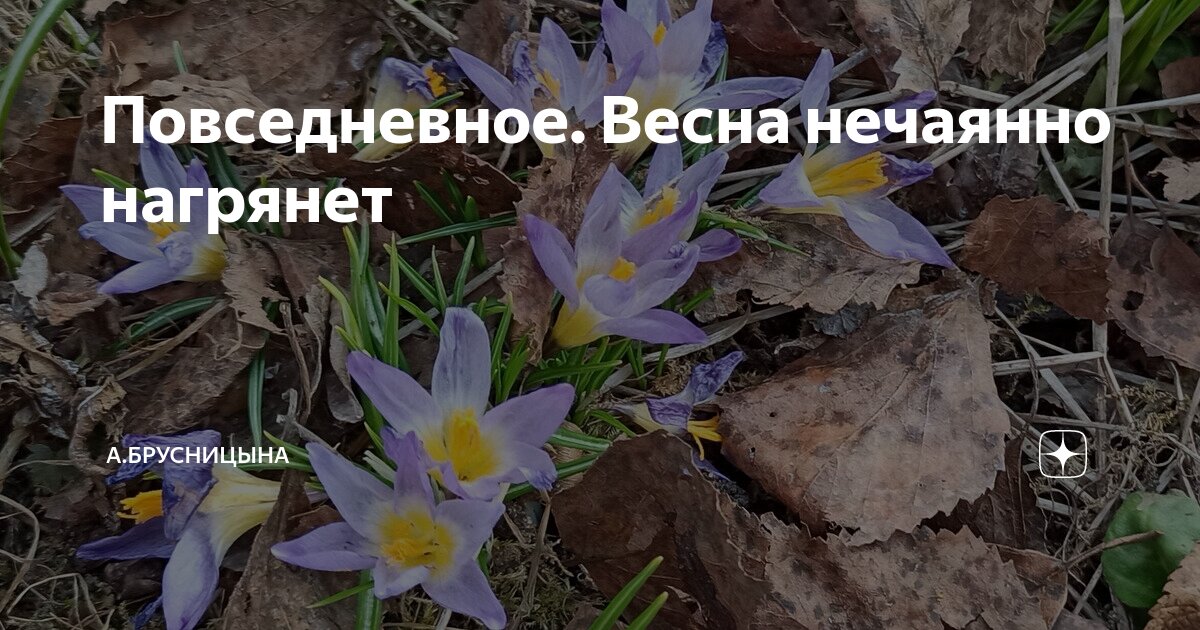 Повседневное. Весна нечаянно нагрянет | А.Брусницына. | Дзен