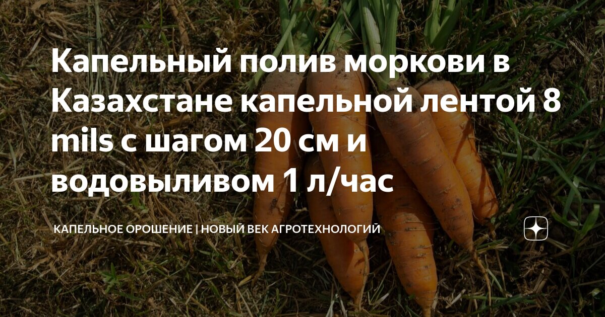 Купить капельный полив для теплицы в Дубне от производителя Воля