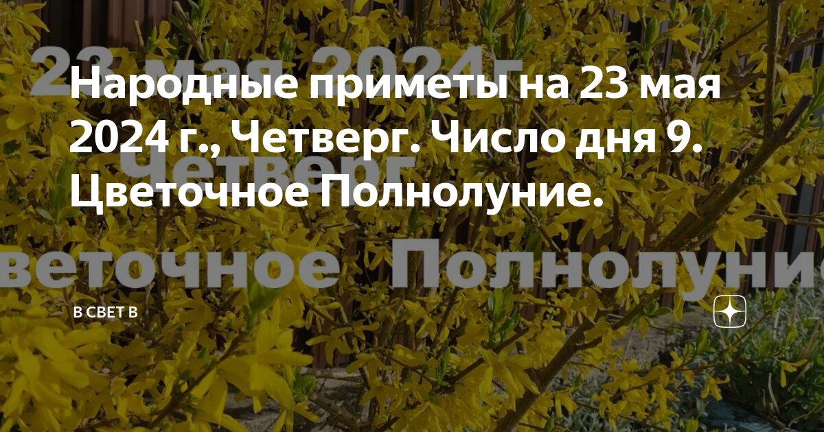 Народные приметы на 9 мая 2024 года