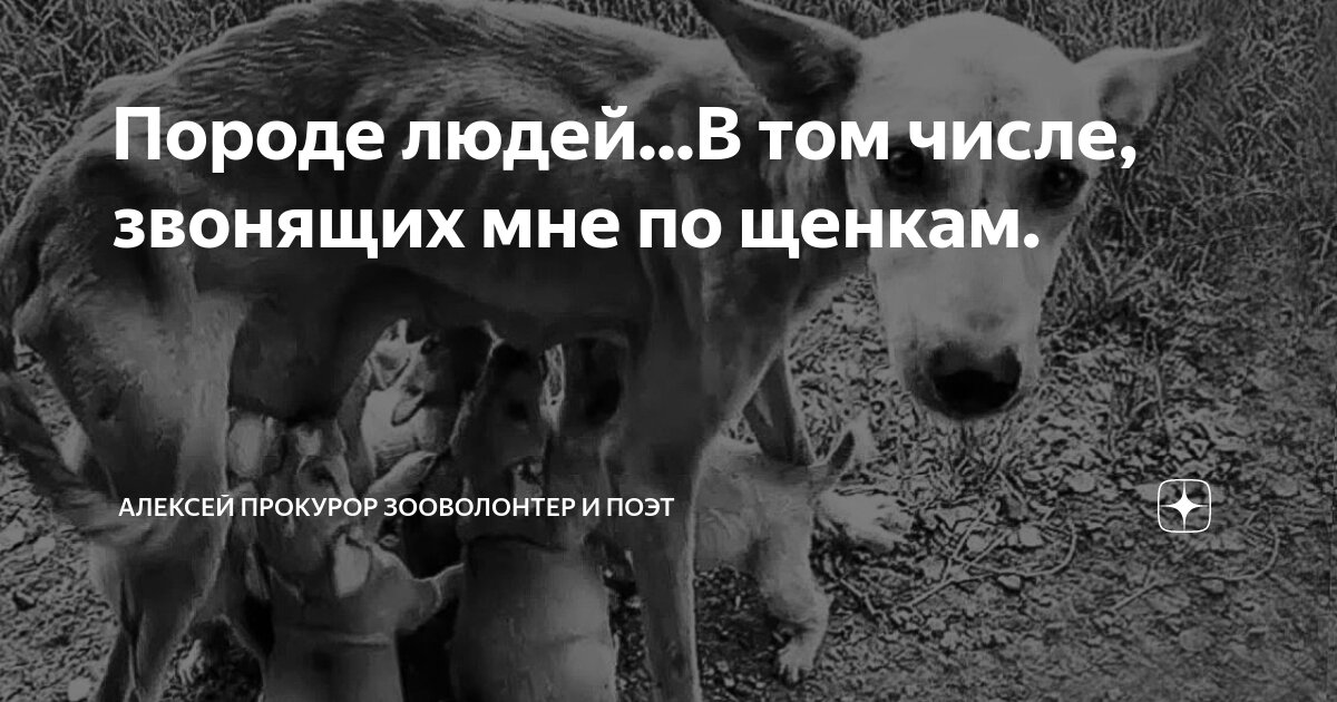 ПОМНИМ - Официальный сайт комитета по ФК и спорту администрации округа Муром