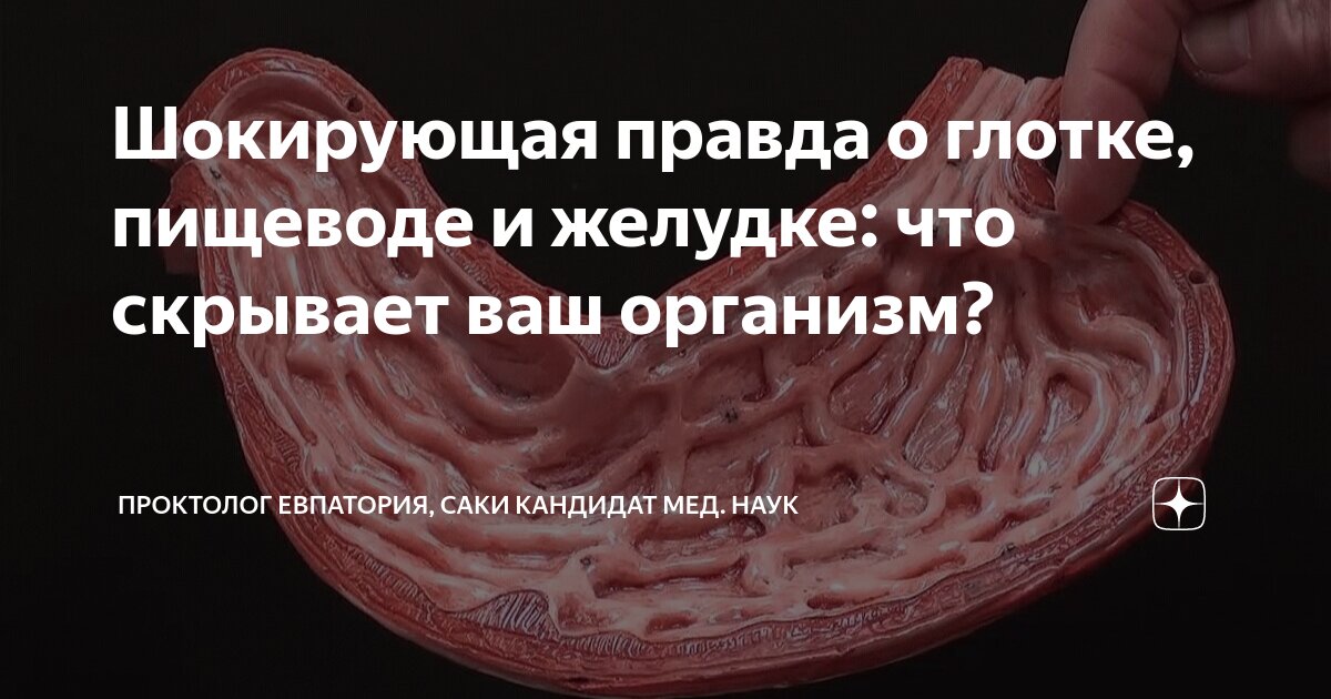 боль при глотании в пищеводе и желудке