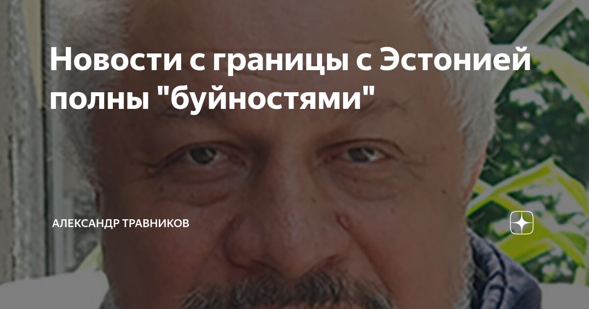 Новости с границы с Эстонией полны "буйностями" | Александр Травников ...