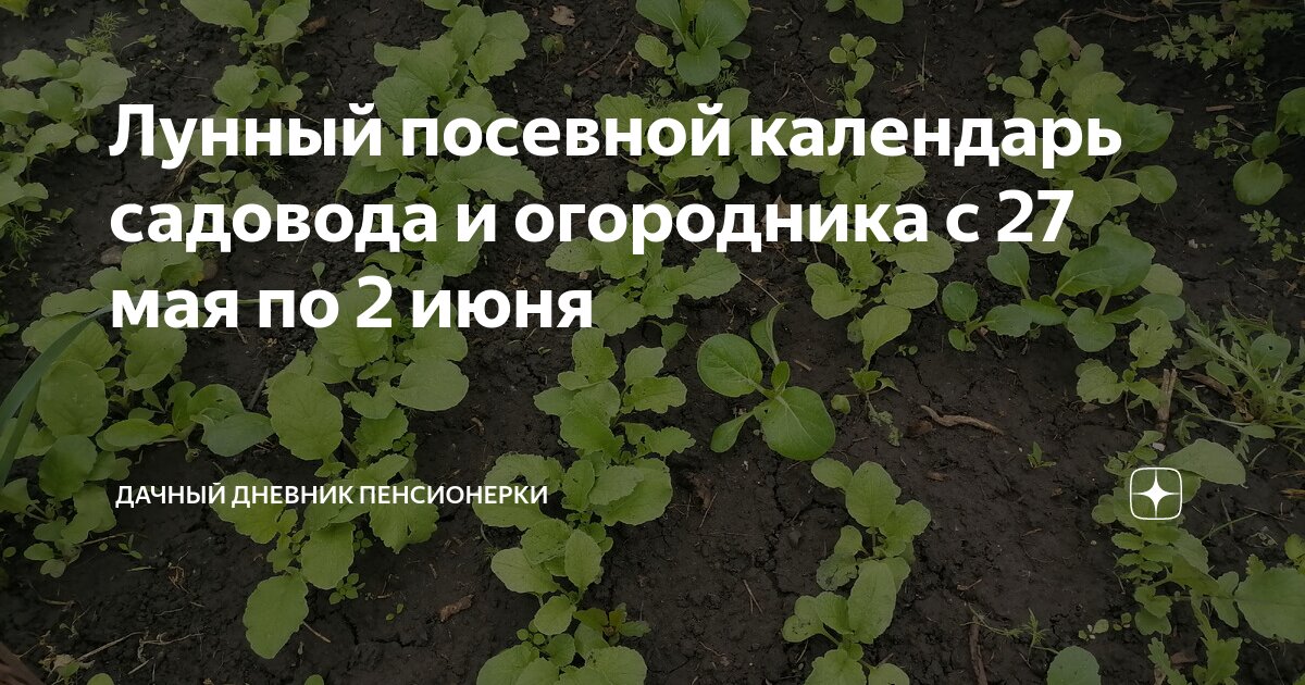 Лунный посевной календарь садовода и огородника с 27 мая по 2 июня ...