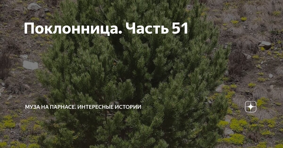Поклонница. Часть 51 | Муза на Парнасе. Интересные истории | Дзен