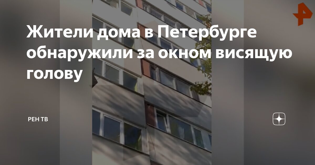 Улица репина улица фото блокады. Окна в питерских домах. Голова висит в питере. Голова висит в питере. Голова висит в питере.