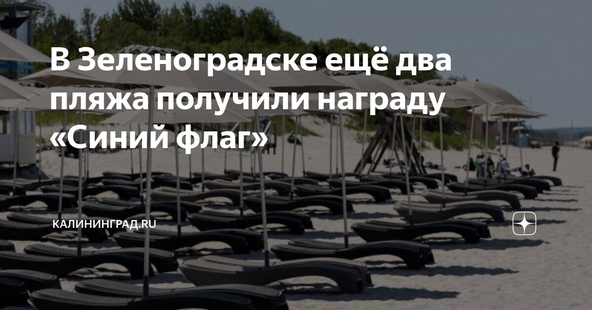 В Зеленоградске ещё два пляжа получили награду «Синий флаг ...