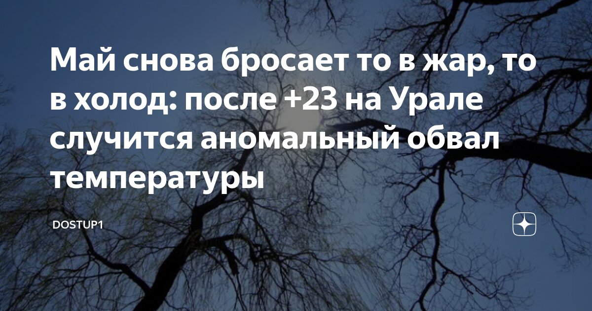 болит живот бросает то в жар то в холод