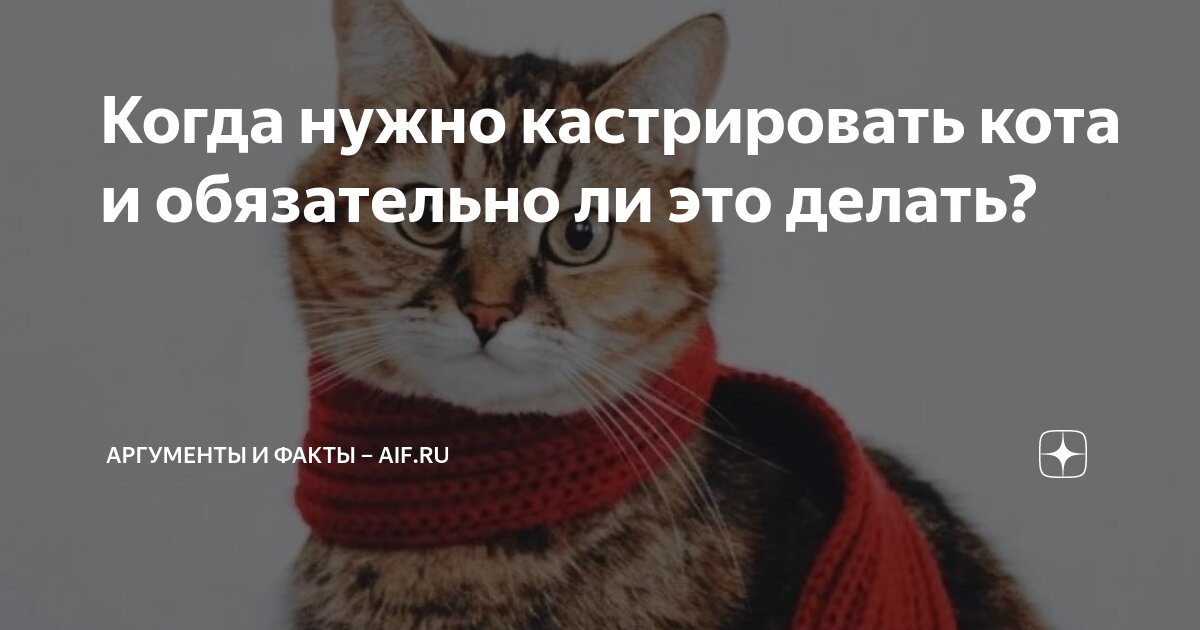 東京都  Wikipedia