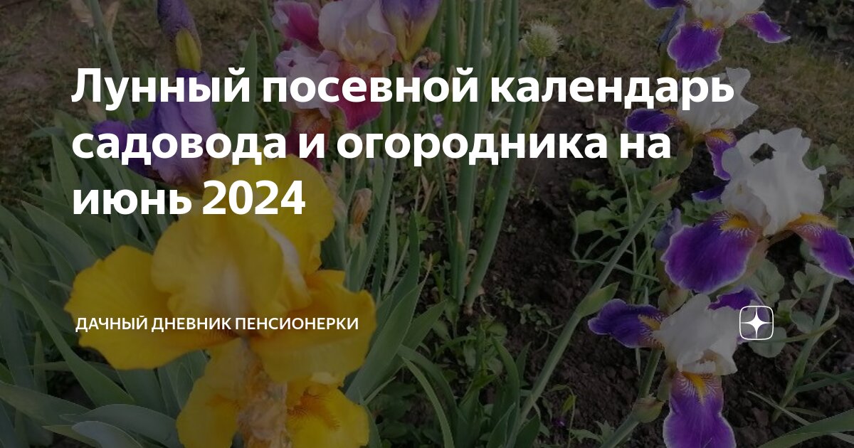 Лунный посевной календарь садовода и огородника на июнь 2024 | Дачный ...