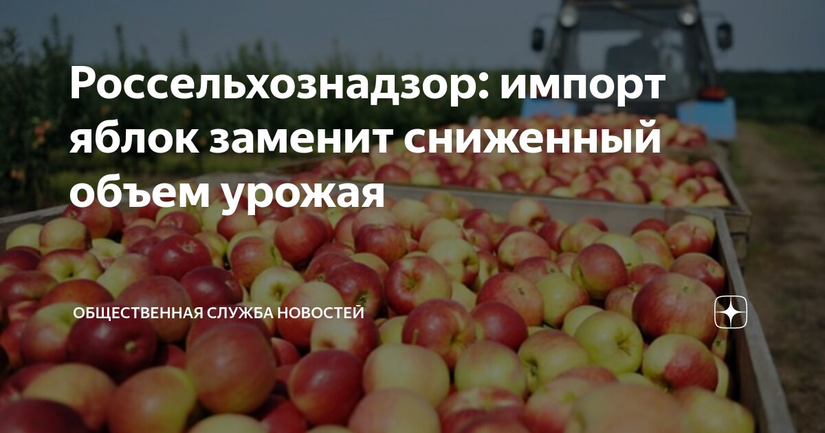 Ветеринарный контроль на таможне. Россельхознадзор импорт. Зимняя форма россельхознадзора. Форма инспектора россельхознадзора. Таможенный осмотр.