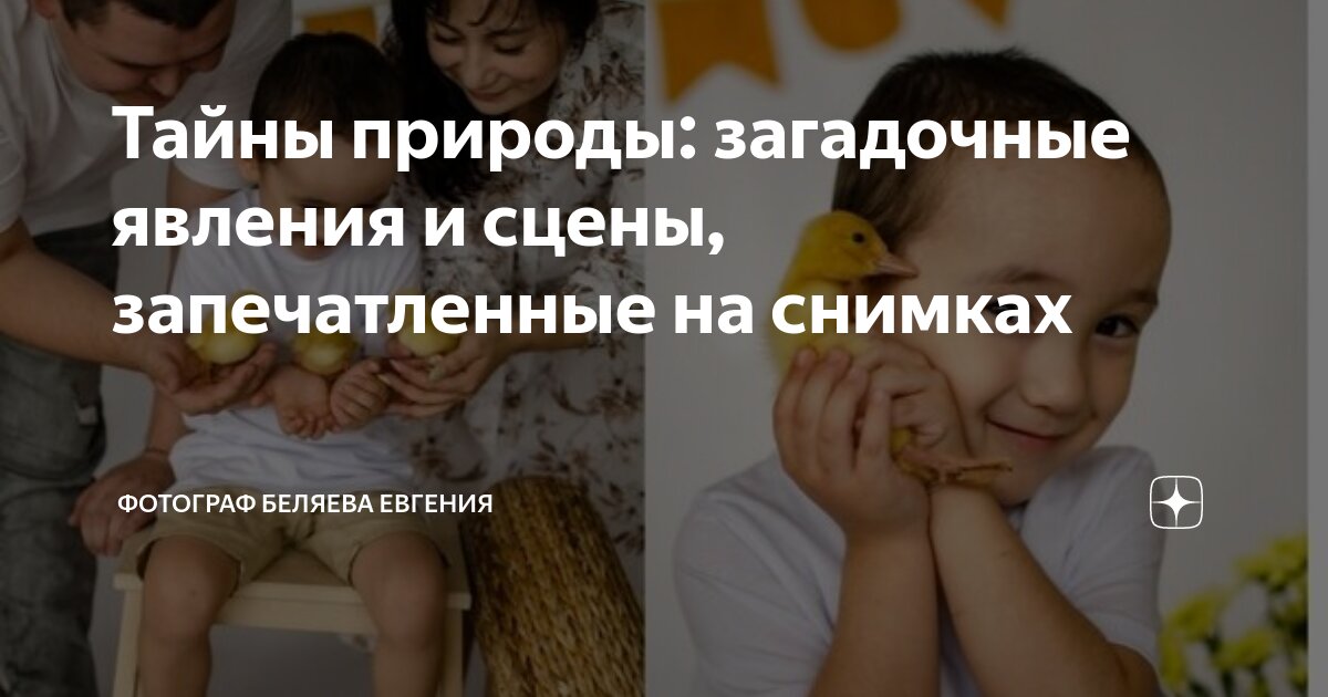 Наши читатели поделились фотографиями своих цветов