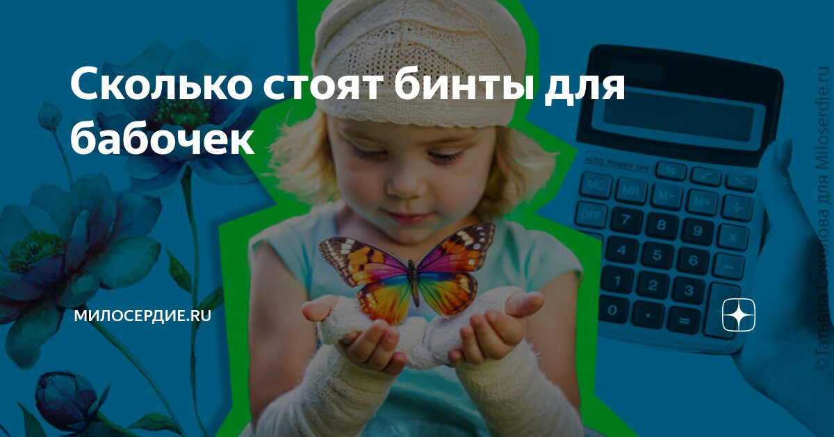 Сколько стоят бинты для бабочек | Милосердие.ru | Дзен