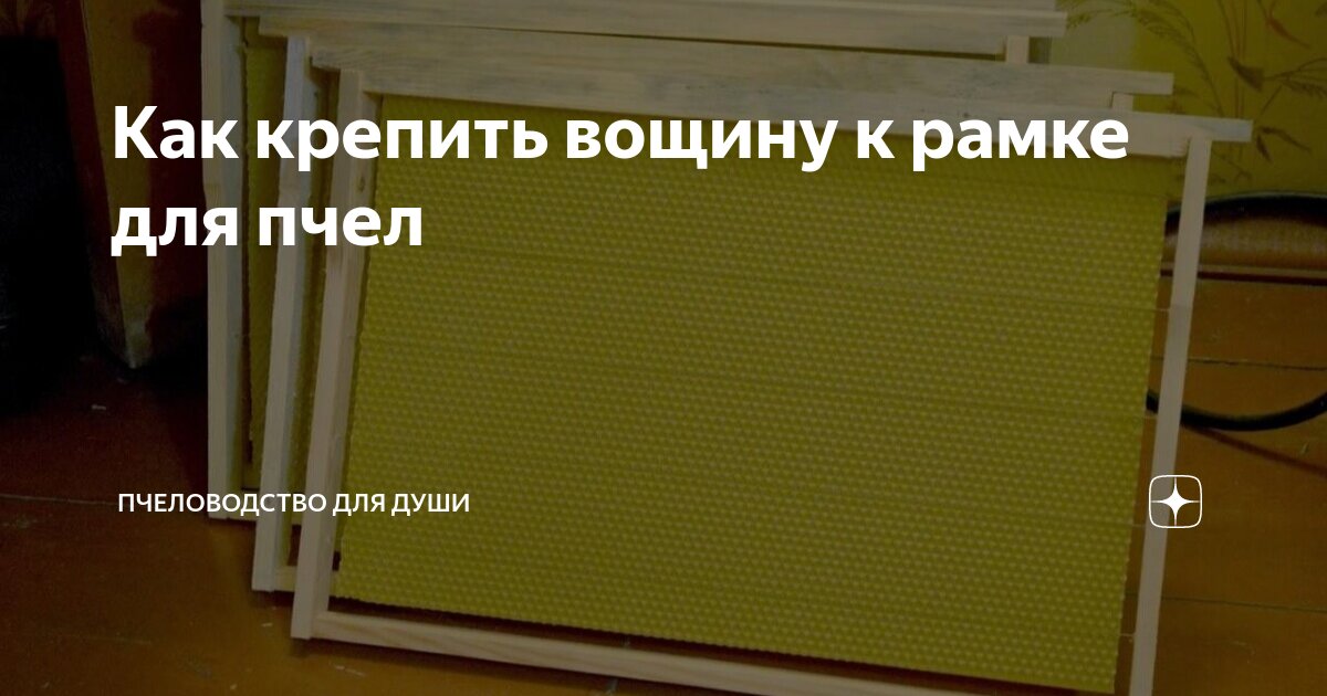Как крепить вощину к рамке для пчел | Пчеловодство для души | Дзен