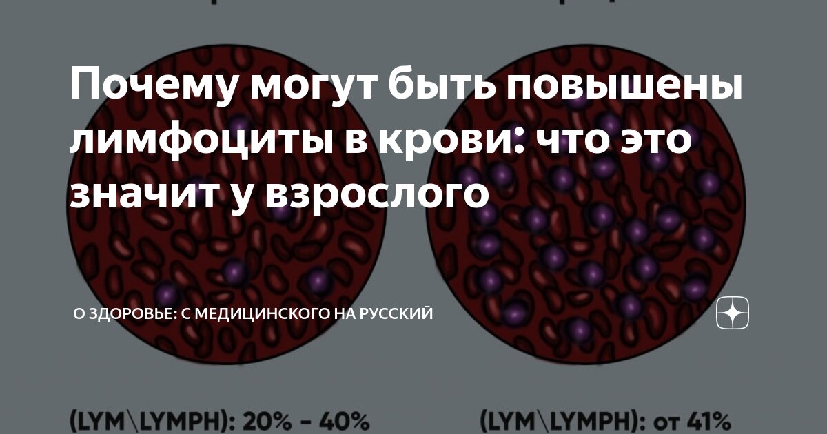 Почему могут быть повышены лимфоциты в крови: что это значит у ...