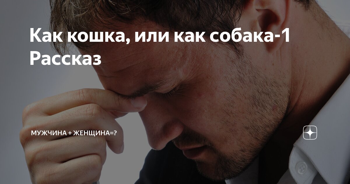 мужчина бык женщина собака форум