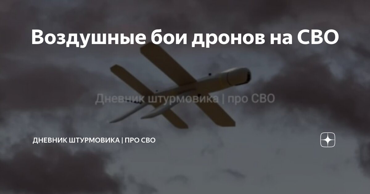 Воздушные бои дронов на СВО | Дневник штурмовика | про СВО | Дзен