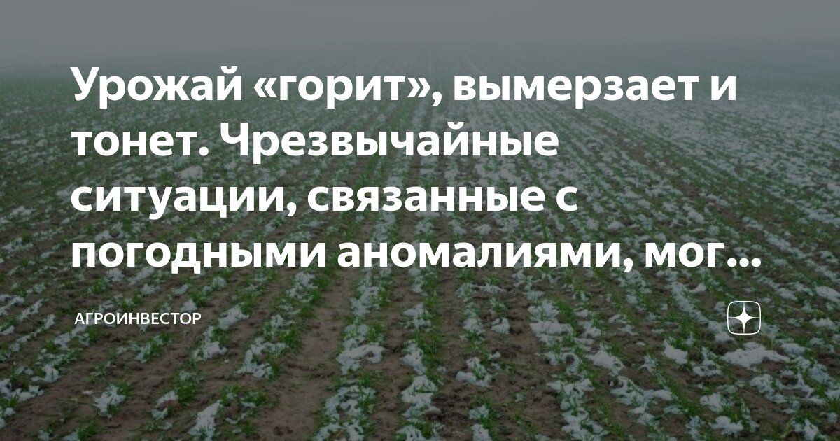 Урожай «горит», вымерзает и тонет. Чрезвычайные ситуации, связанные с ...