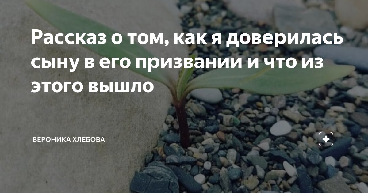 Рассказ о том, как я доверилась сыну в его призвании и что из этого ...