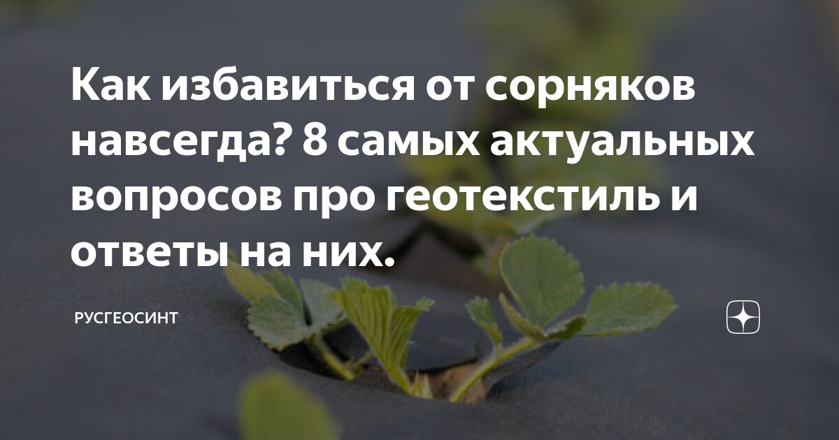 Как избавиться от сорняков навсегда? 8 самых актуальных вопросов про ...