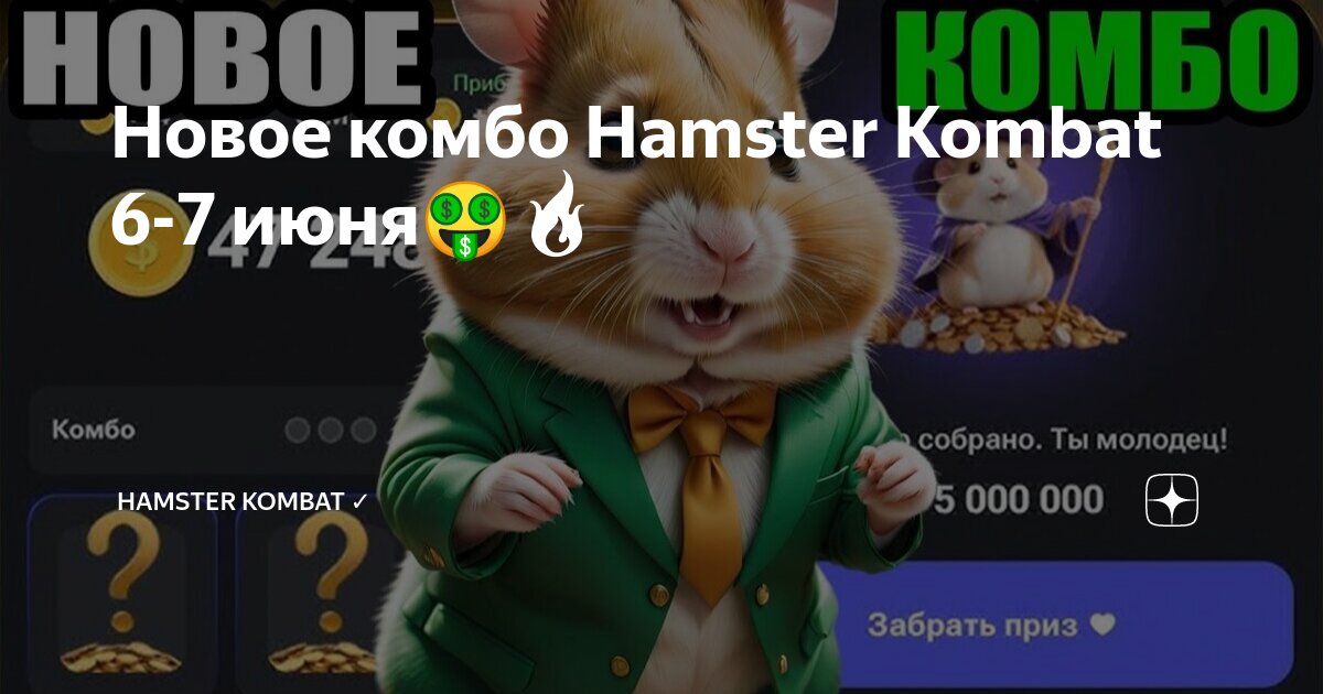 Комбо карты hamster kombat 19 июня