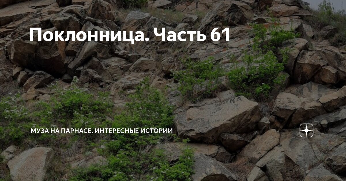 Поклонница. Часть 61 | Муза на Парнасе. Интересные истории | Дзен