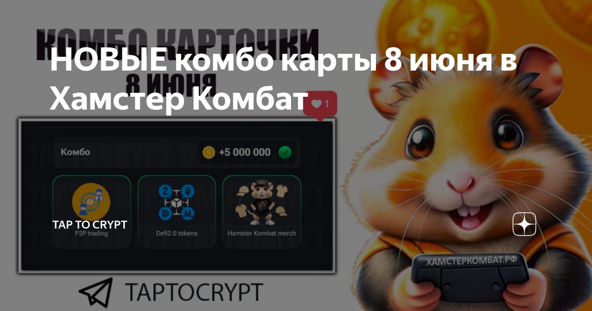 Где находится short squeeze в hamster combat