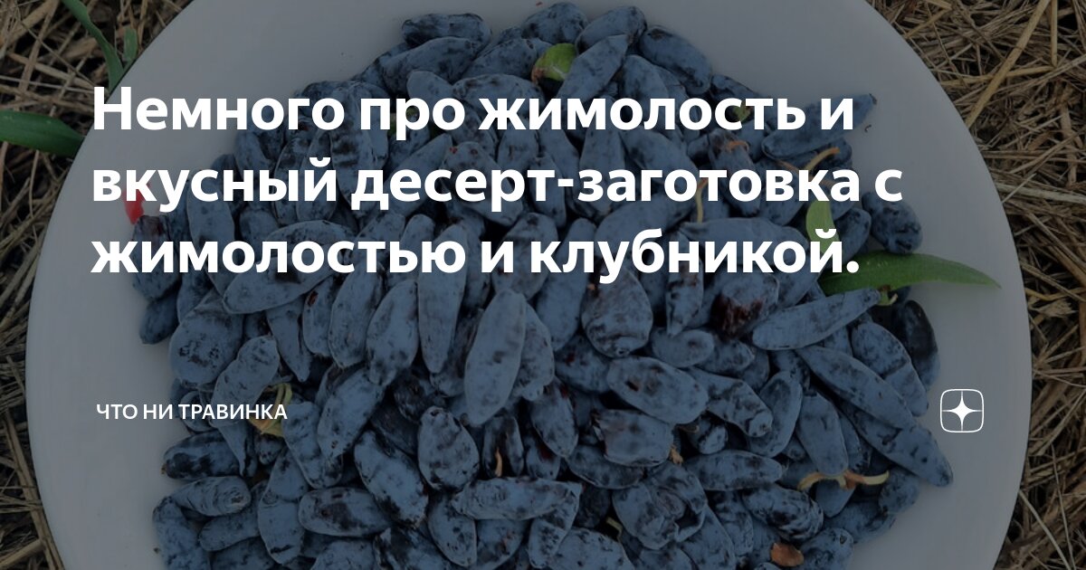 Немного про жимолость и вкусный десерт-заготовка с жимолостью и ...