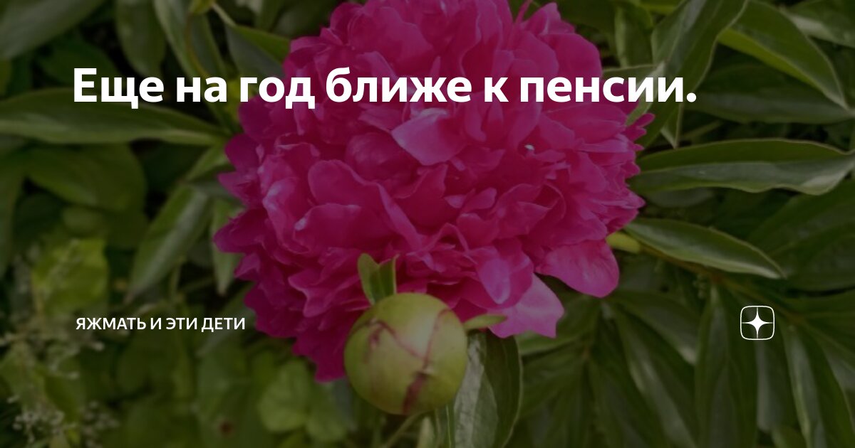 Еще на год ближе к пенсии. | Яжмать и эти дети | Дзен